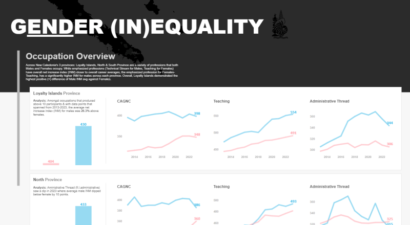 Gender Inequality : Occupation Overview