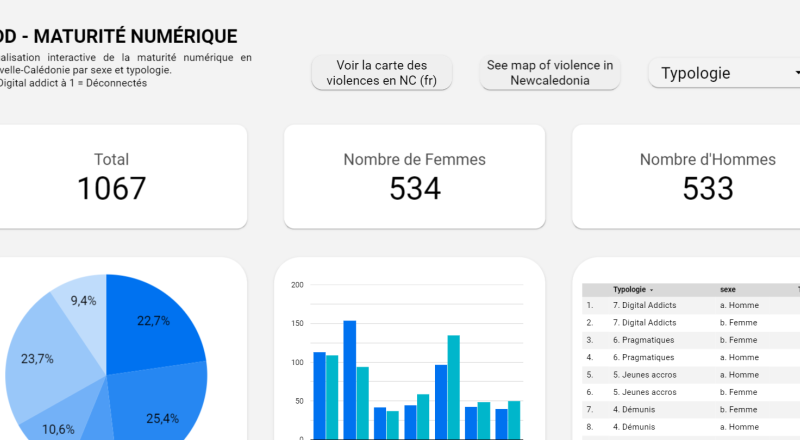 Maturité numérique + La carte de l'enfer des violences en Nouvelle-Calédonie