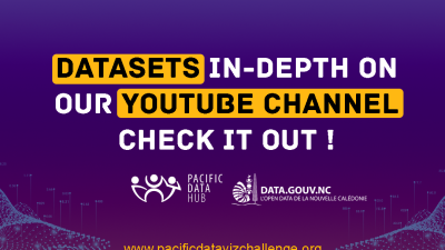 datasets in-depth